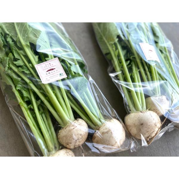 生産者：農栄社（山梨県北杜市）有機JAS認証（有機許容農薬不使用）　