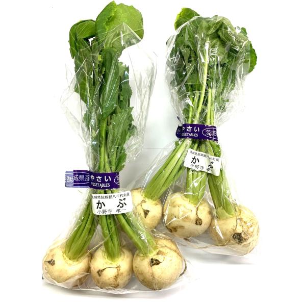 生産者：小野寺孝一（茨城県八千代町）防除：農薬0回・化肥0回　