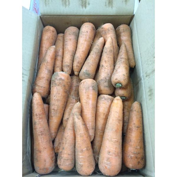 生産者：おかげさま農場（千葉県成田市）防除：農薬0回・化肥0回おかげさま農場の人参は、土付きです。「おかげさま農場」は、千葉県の成田から香取市周辺の生産者による、昭和63年に結成された歴史あるグループです。農薬や化学肥料を使用しないのは「あ...