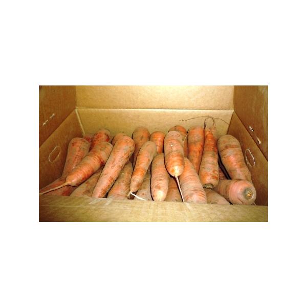 生産者：飯塚　功（茨城県鉾田市）防除：農薬0回・化肥0回　