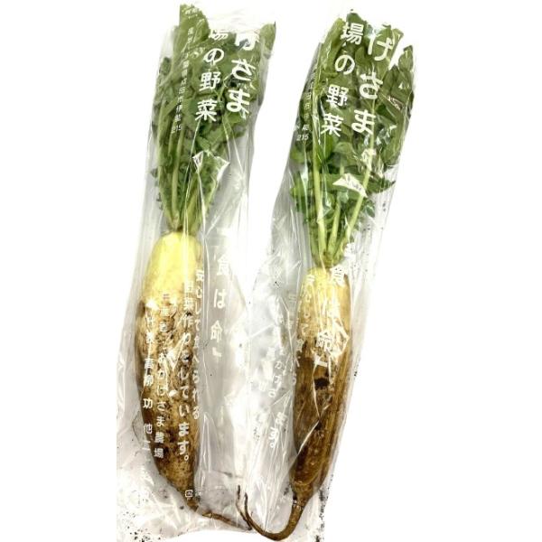 生産者：おかげさま農場（千葉県成田市）防除：農薬0回・化肥0回葉付泥付き大根です。　