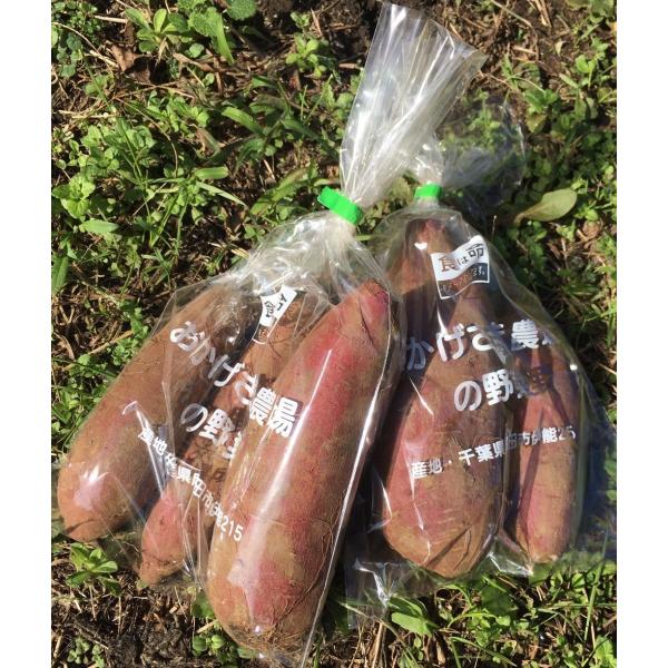 生産者：おかげさま農場（千葉県成田市）防除：農薬0回・化肥0回品種：シルクスイートシルクスイートは、少し甘めの「春こがね」と、程よい滑らかな食感をもつ「紅まさり」、二つを交配させて生まれたものです。採れたてで焼くと、ほくほく系の甘い焼きいも...