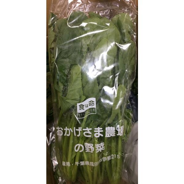 生産者：おかげさま農場（千葉県成田市）防除：農薬0回・化肥0回　