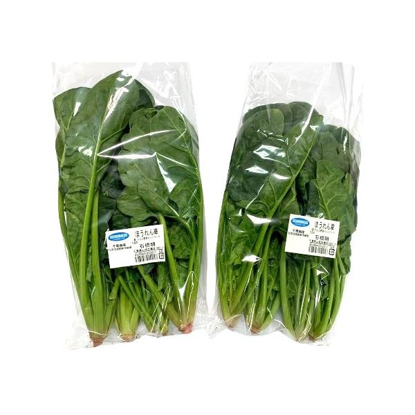 生産者：さんぶ野菜ネットワーク（千葉県山武市）防除：農薬0回・化肥0回　