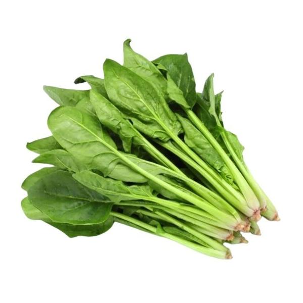 生産者：レインボーフューチャー（茨城県筑西市）有機JAS認証（有機許容農薬不使用）ほうれん草は寒さにあたりどんどんおいしくなってくる時期、たっぷりお召し上がりください！