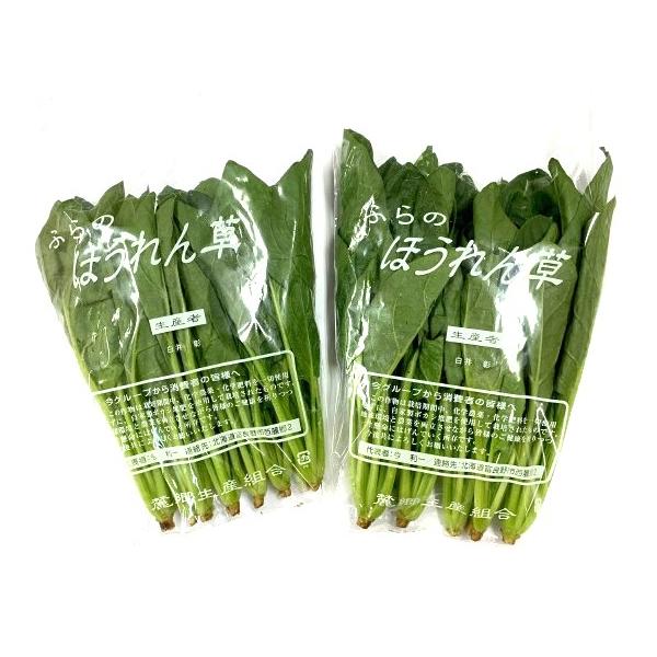 生産者：白井農園（北海道富良野市）防除：農薬0回・化肥0回永くお付き合いさせていただいている白井さんのほうれん草。昨年までは有機JAS認証の格付けでしたが、今年からは認証を受けていません。昨年、長年連れ添った奥様が病気で他界されて、事務手続...