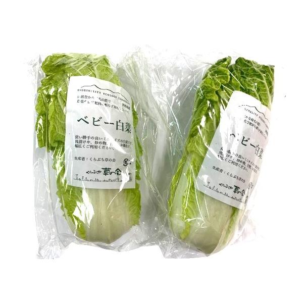 生産者：くらぶち草の会（群馬県高崎市）防除：農薬0回（許2)・化肥0回品種：タイニーシュシュ or　わわ菜