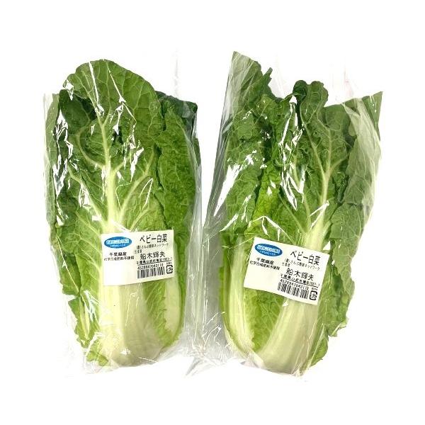 生産者：さんぶ野菜ネットワークの越川博さんほか（千葉県山武市）　防除：農薬0回・化肥0回ベビー白菜　（品種：タイニーシュシュ）1個250g以上が正規の規格です。この「タイニーシュシュ」は葉も柔らかく、みずみずしいので、生でシンプルにサラダと...