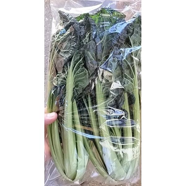 生産者：おかげさま農場（千葉県成田市）防除：農薬0回・化肥0回仙台で古くから作られてきた雪菜です。山形県にも雪菜があり、そちらは雪の中に置いて出てきた新芽を漬けた、ふすべ漬けとして知られますが、仙台のものはそのまま葉物野菜として使われます。...