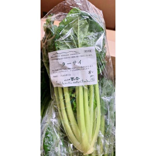 【有機認証】群馬県　くらぶちの有機ターサイ（約200〜350g）1株P　x2個セット【冷蔵】