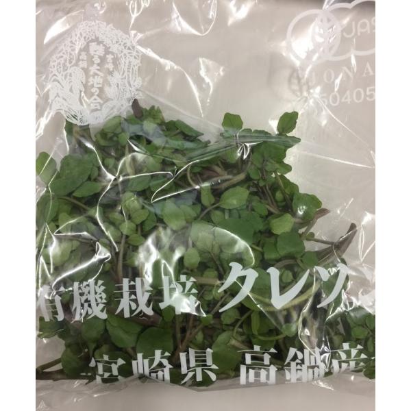 生産者：甦る大地の会（宮崎県児湯郡高鍋町）有機JAS認証（許30回）主茎から枝を外して袋詰めしてあります。　