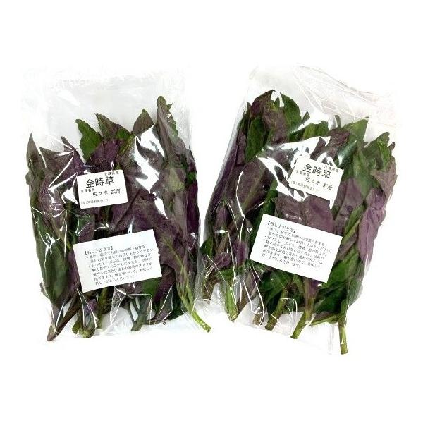 【農薬未使用】茨城の金時草　約100gP　x2個セット【冷蔵】