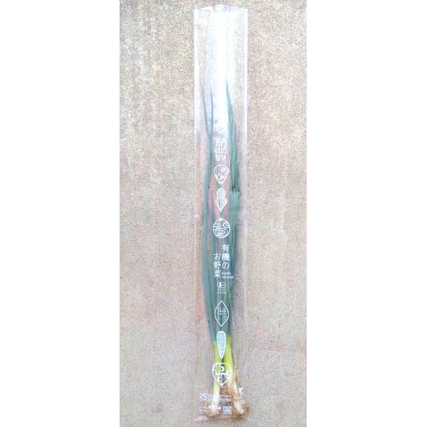 生産者：オーガニックnico（京都府西京区）有機JAS認証京都で平安時代から栽培されていたとされる西日本を代表するねぎで、京の伝統野菜にもなっています。九条細ねぎと九条太ねぎがあり、こちらは細ねぎ。香りがよく甘みが強く、柔らかいです。薬味だ...