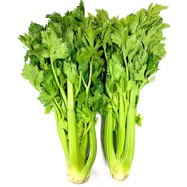 生産者：ティエラス（愛知県田原市）防除：農薬0回（許5）・化肥0回渥美半島の先端、伊良湖岬近く、畑は砂や石だらけで耕運機をかけると刃が石に当たり火花が散る程。この地で有機肥料で40年以上土づくりを続けてきた生産者の２代目たちが中心となったの...