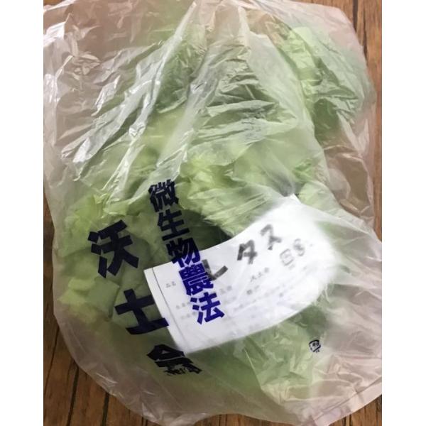 生産者：沃土会（埼玉県深谷市・本庄市）防除：虫2・化肥0回