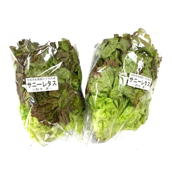 生産者：小野寺孝一（茨城県八千代町）防除：農薬5割減（虫4）（許２）・化肥0回