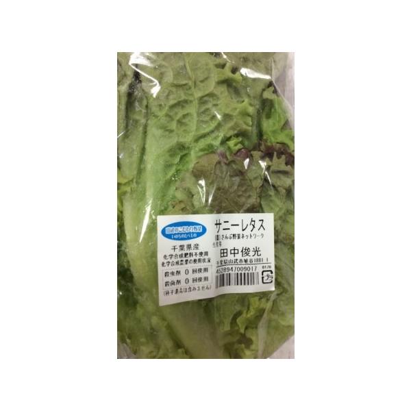 生産者：さんぶ野菜ネットワーク（千葉県山武市）防除：農薬0回・化肥0回　
