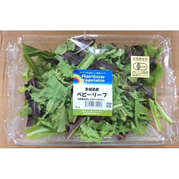 生産者：レインボーフューチャー（茨城県筑西市）有機JAS認証（許1）レタスやほうれん草、小松菜、水菜、ルッコラ、マスタードグリーンなど多種の葉物を植え、小さいうちに収穫し５〜７種類をミックスしたベビーリーフ。こちらはたっぷり、100gのパッ...