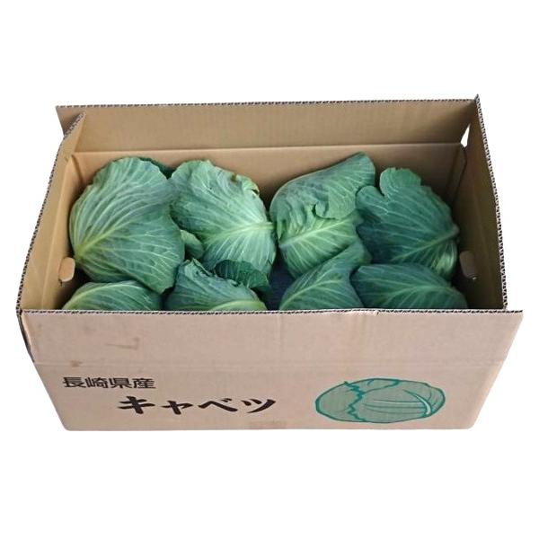 生産者：うんぜん農園（長崎県雲仙市）有機JAS認証（有機許容農薬不使用）