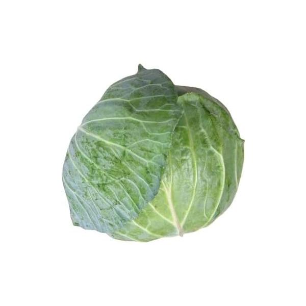 生産者：おかげさま農場（千葉県成田市）防除：農薬0回・化肥0回　