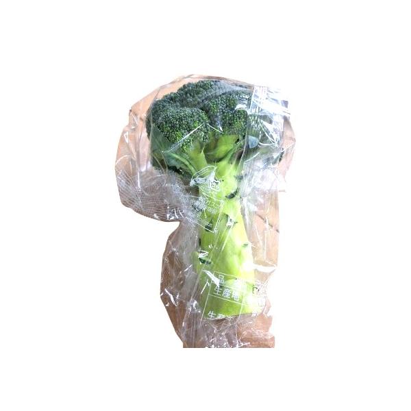 生産者：ティエラス（愛知県渥美町）防除：農薬0回（有機許容農薬9回）・化肥0回　