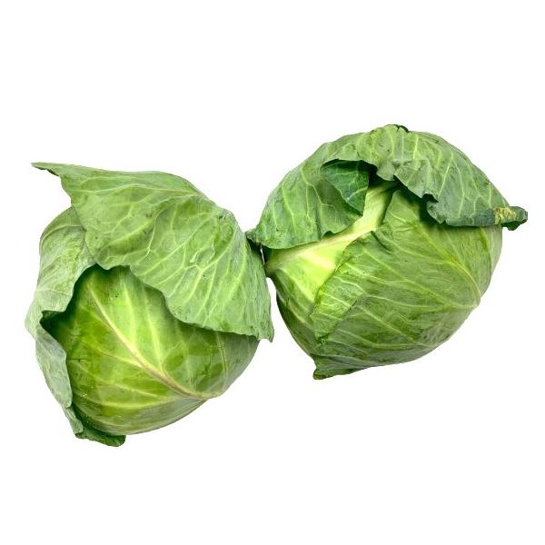 生産者：ティエラス（愛知県田原市）防除：農薬0回(許5)・化肥0回　