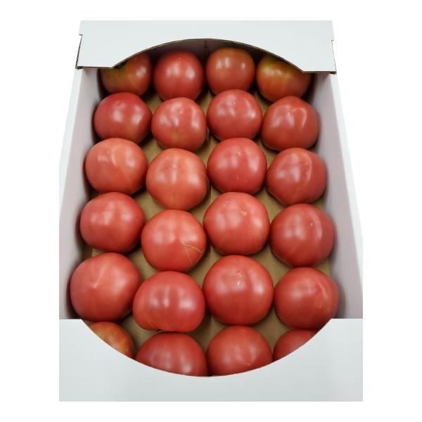 生産者：はぎわらファーム（千葉県銚子市）防除：植1・化肥0回