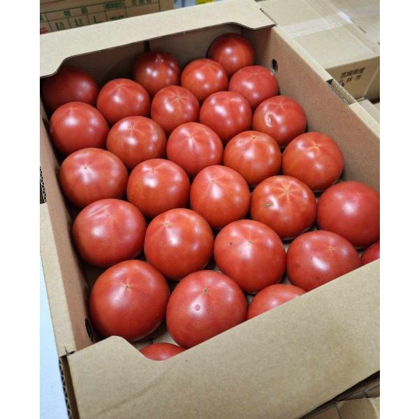 生産者：肥後あゆみの会（澤村輝彦さん 他）（熊本県不知火市）有機JAS認証 許8回・化肥0回　