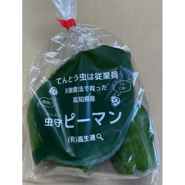 生産者：かめのこ農園（高知県南国市）防除：農薬0回（有機許容農薬10回・天敵の生物農薬やフェロモン剤などのみ）・化肥0回定植後、害虫の天敵となる生物やフェロモンなどのみで害虫を抑えた栽培で、畑の自然環境を大事にしています。（育苗時に虫2）