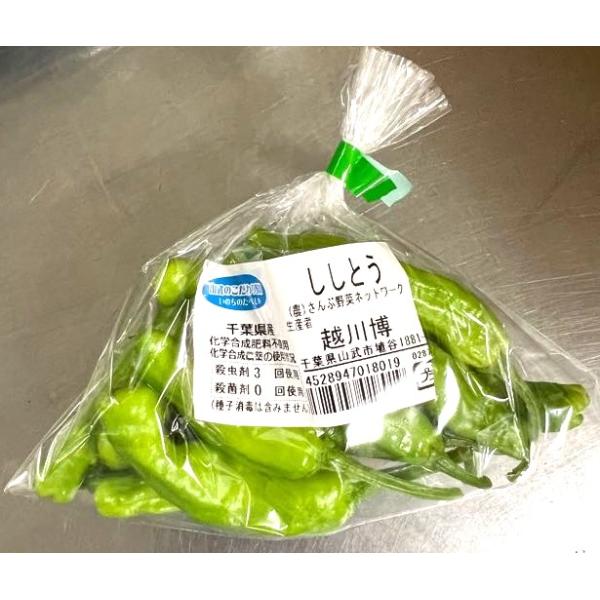 生産者：さんぶ野菜ネットワーク（千葉県山武市）防除：虫1（許1）・化肥0回