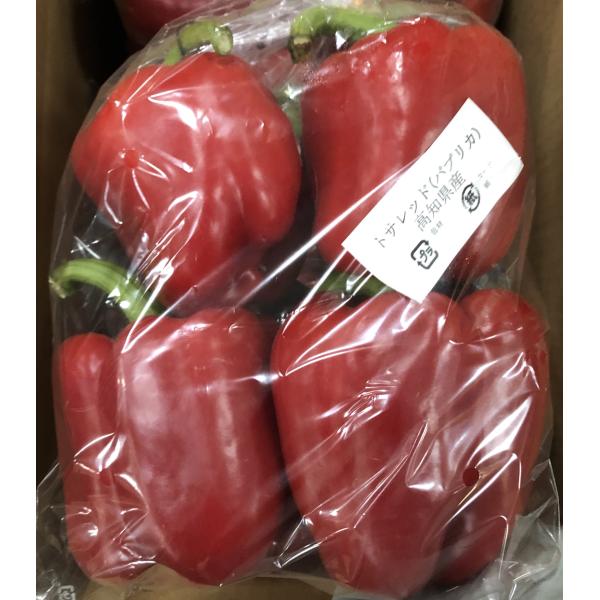 生産者：前田農園（高知県安芸市）防除：農薬5割減（虫12菌5）（許7）・化肥9割減品種：土佐レッド、アルティガ肉厚のパプリカです。赤色のみです。　