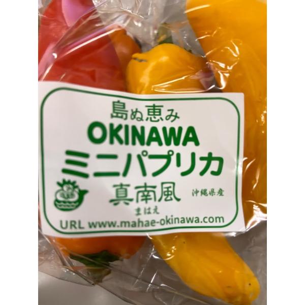 生産者：真南風　玉城庄栄、渡真利貞光、喜友名朝雄（沖縄県宮古島・石垣島）防除：農薬8割減（虫5）・化肥0回品種：ぱぷ丸などパプリカを小さく改良した品種で、レッド、イエロー、オレンジから２〜3色をミックスしました。赤・黄・橙の3色を混ぜていま...