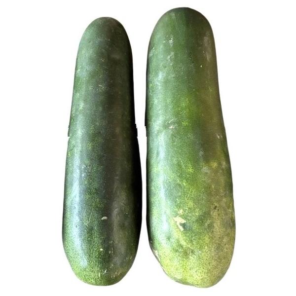 生産者：日本農業（京都府南丹市）防除：農薬0回・化肥0回細長い冬瓜です。小型とありますが、1本1.5kg〜2.5kgあります。煮物、あんかけ、みそ汁などに最高です。貯蔵性も高いです。　爆買