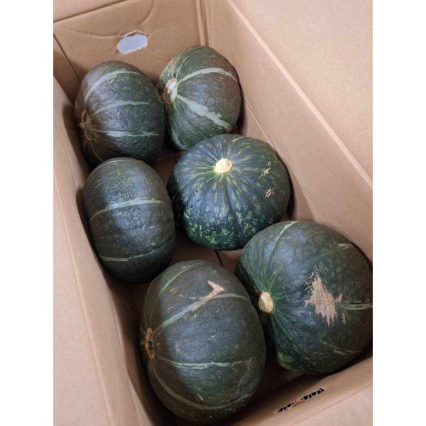 生産者：検福園芸組合　（鹿児島県徳之島）防除：農薬0回・化肥0回品種：栗ゆたか 栗ほまれ えびす、プリメラ など温暖な徳之島から、農薬不使用のかぼちゃをお届けします。品種は色々ですが、全てホクホクのえびす系の品種です。　