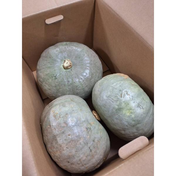 生産者：ポカラ農園 中村清幸（北海道旭川市）防除：農薬0回・化肥0回品種：雪化粧（ゆきげしょう）◆北海道産かぼちゃが一番美味しい季節！「雪化粧」は皮が白っぽく、ホクホク感がとても強い品種です。そして一定期間貯蔵したこの時期、でんぷんの一部は...