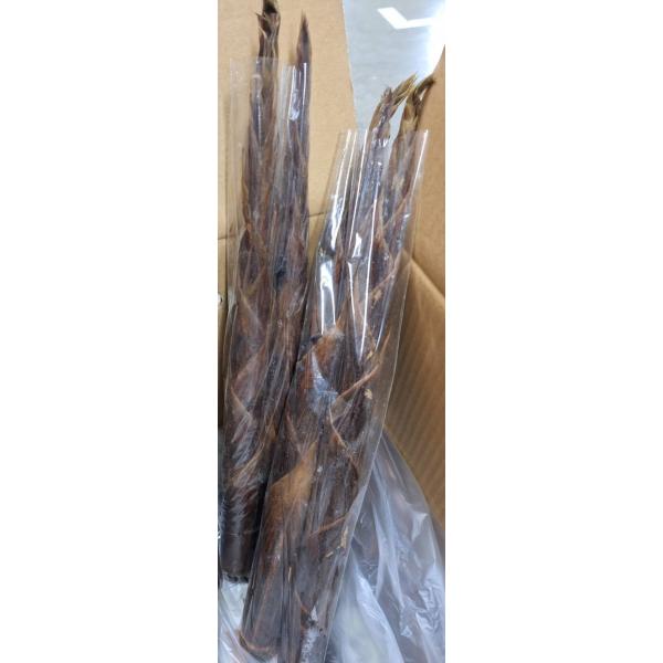 生産者：ガイアシステム　山本剛（静岡県南伊豆市）防除：農薬0回・化肥0回四方竹(しほうちく）は温暖な地域で生育する竹の仲間で、そのたけのこは春ではなく秋に成長します。通常の竹の子と同様の料理で、独特の歯ごたえが味わえます。先端を5cmくらい...