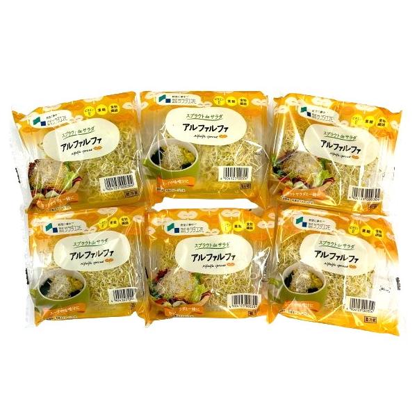 生産者：サラダコスモ（岐阜県中津川工場)防除：農薬0回・化肥0回アルファルファは牧草という意味の英語です。日本名は、「紫馬肥やし」。牧草として使用されたり、ハーブとして栽培もされます。 紫色の花とクローバーに似た葉が特徴です。こまかく、細い...