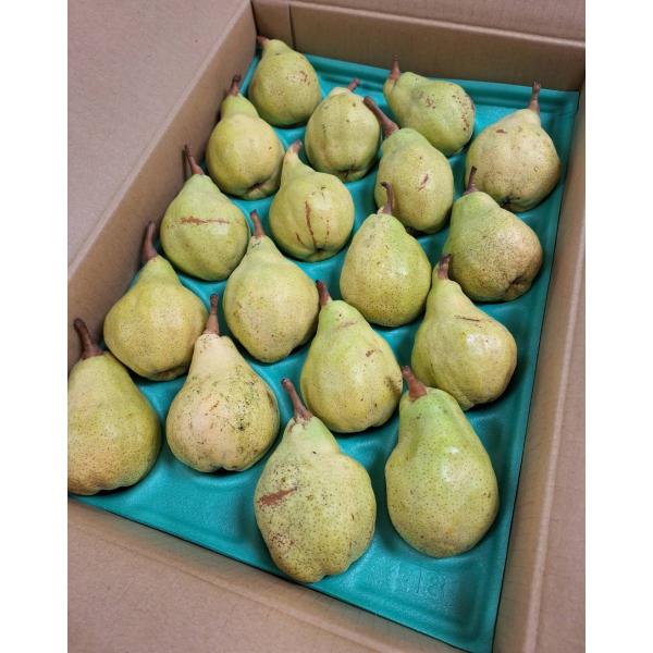 生産者：ライラック農園（長野県松川町）防除：農薬5割減（虫7菌9）（許3）・化肥0回品種：ラ・フランスこの地域の慣行栽培の農薬使用は34剤です。長野県環境にやさしい農産物認証を取得しています。特別栽培農産物認証取得。エコファーマー、JGAP...