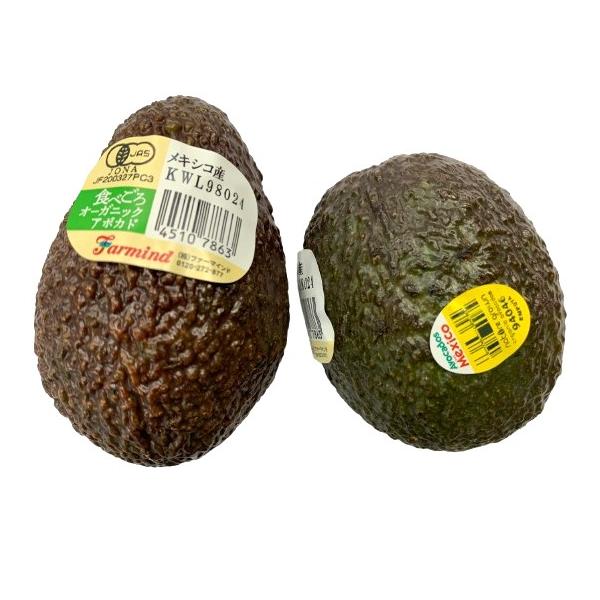 生産者：GFA農園（メキシコ合衆国）有機JAS認証　