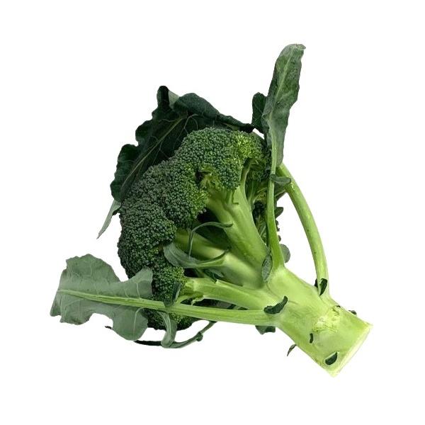 生産者：匠ファーム（長崎県雲仙市）防除：農薬0回・化肥0回　