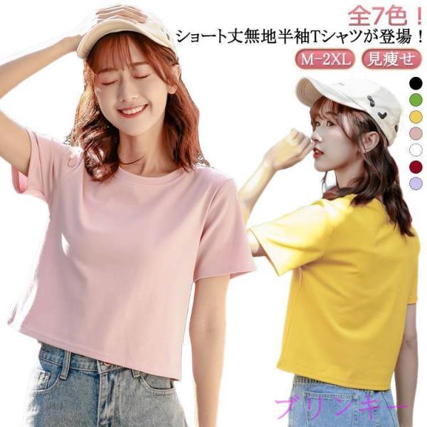 半袖 ショートTシャツ トップス 丸首 カットソー 無地 半袖tシャツ