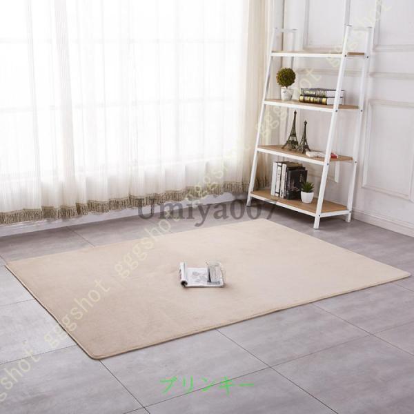 ラグ カーペット 120*160cm ラグマット 厚手 160×230 約3畳 ローズレッド 撥水加工 滑り止め付 防音 抗菌 防ダニ加工 床暖房 ホットカーペット対応 じゅうたん