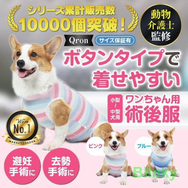 blinky_ph0219-dp-5qb10