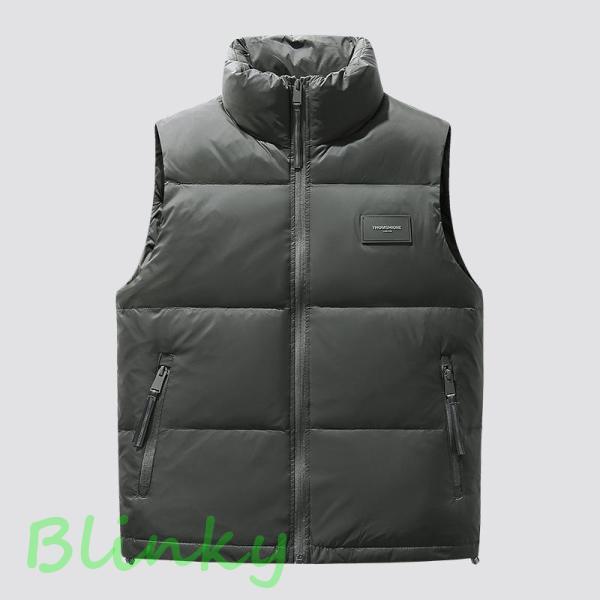 ダウンベスト メンズ ダウン入り ハイネック 防寒 防風 おしゃれ