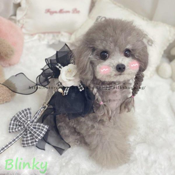 【サイズの目安】S：首まわり14〜27cm　胸まわり18〜30cm　リード120cm M：首まわり22〜38cm　胸まわり26〜4cm　リード120cm