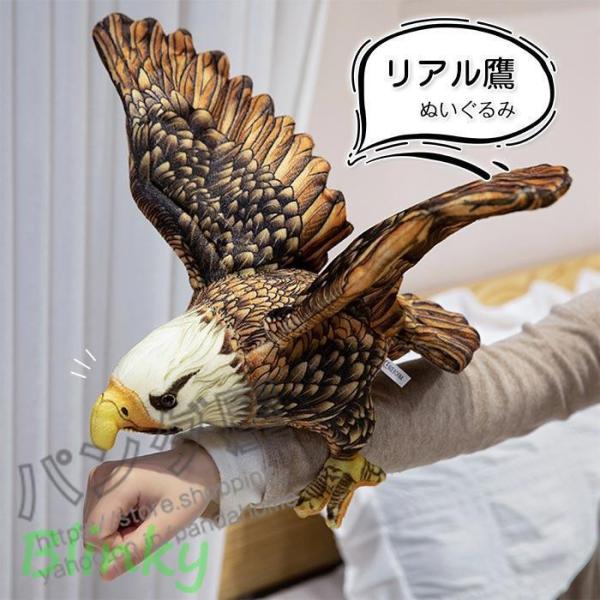blinky_ph250910-omt-1wanou173