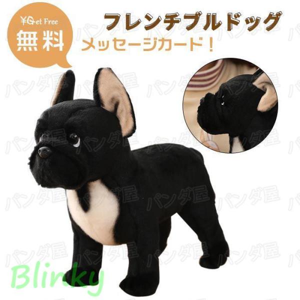 blinky_ph250910-omt-1wanou18
