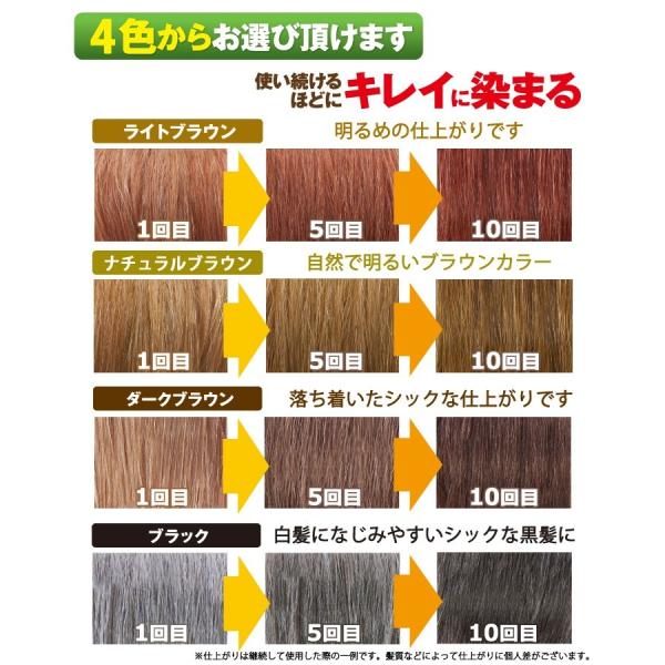 利尻カラーシャンプー2本セット シャンプーで白髪染め 27種類の植物エキスで髪 頭皮に優しい 利尻昆布エキス 利尻ヘアカラートリートメントとあわせ使い Buyee 日本代购平台 产品购物网站大全 Buyee一站式代购 Bot Online