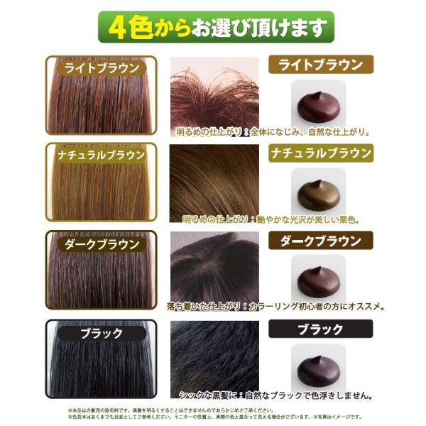 70%OFF!】 白髪用 利尻ヘアカラートリートメント ダークブラウン 2本