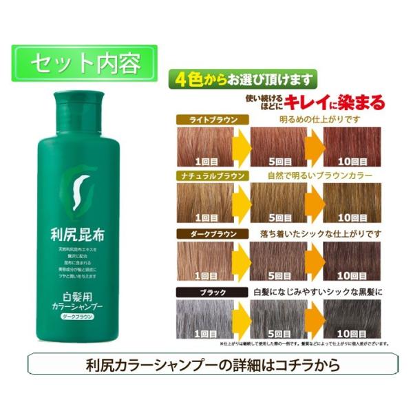 利尻ヘアカラートリートメント 利尻カラーシャンプーセット 毛染めブラシ 専用キャップ ヘッドスパシャンプーブラシ付 Buyee Buyee Japanese Proxy Service Buy From Japan Bot Online
